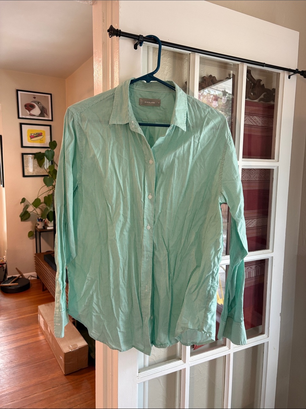 Everlane Cotton Button Down Mint Pinstripe Top Size: 12